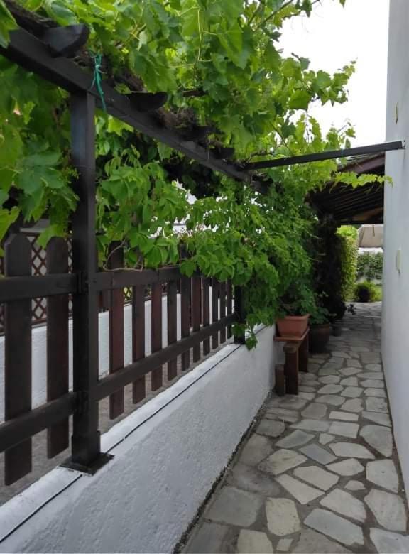 Starfish Koropi Pelion Milies South Pelion Villa Exterior foto